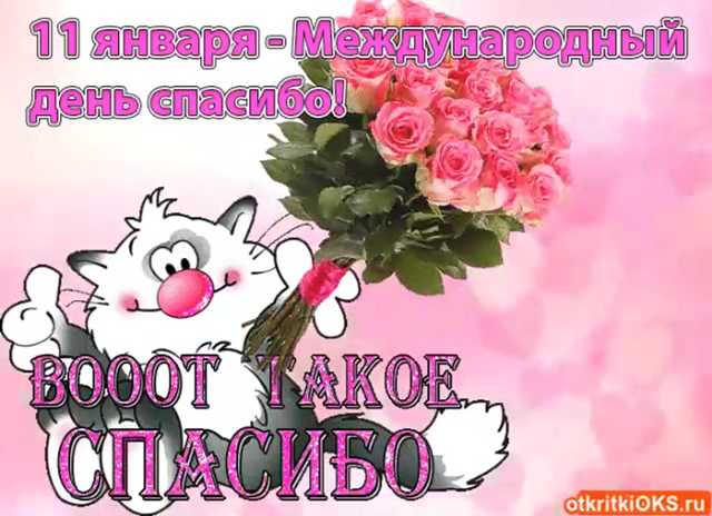 Познавательная программа 